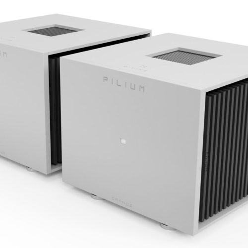 Pilium Master Divine Line Cronus Mono Power Amplifier